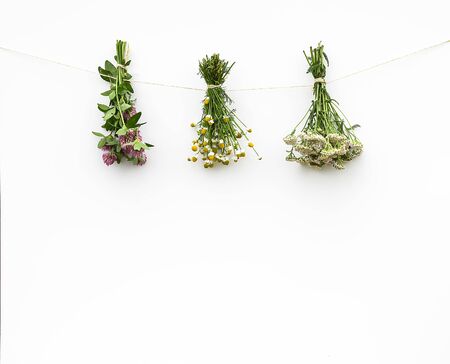 Summer medical herbs bunches on white background.の写真素材