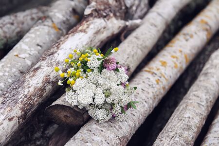 Medical herbs in bunches hanging on the old rough wooden wall in drying process. Yarrow or Achillea millefolium plantの写真素材