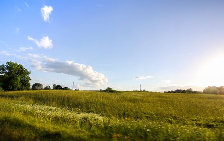 Beautiful summer landscape in countryside in Latvia, East Europe.の写真素材