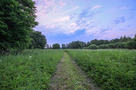 Beautiful summer landscape in countryside in Latvia, East Europe.の写真素材