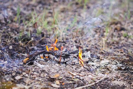 Bonfire at a camp in summer evening outdoors. Burning dry twigsの写真素材