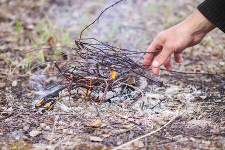Bonfire at a camp in summer evening outdoors. Burning dry twigs