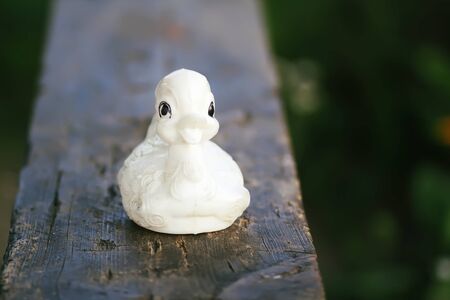 White vintage kids toy duck on wooden benchの写真素材