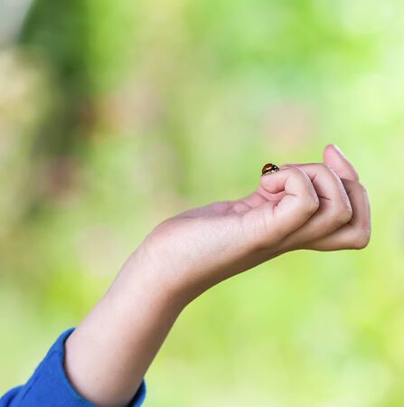 Red ladybug insect on the child's hand.の写真素材