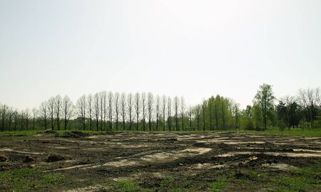 Beautiful spring landscape with green trees and field.の写真素材
