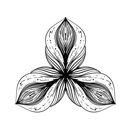Floral element on white background. Hand drawn botanical detail.のイラスト素材