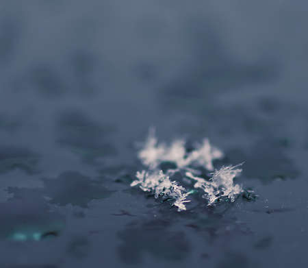 Snowflakes during the snowfall on glass surface.の写真素材