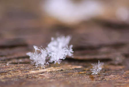 Snowflakes during the snowfall on glass surface.の写真素材