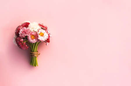Bouquet of the marguerite daisy flowers on light backgroundの写真素材