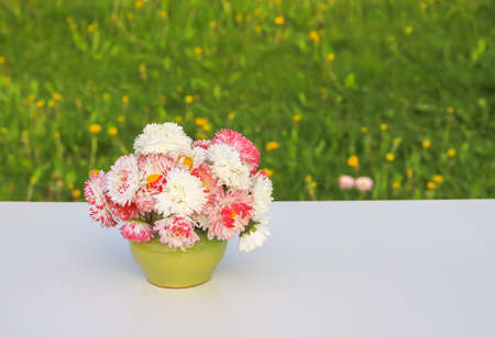 Marguerite daisy flowers in ceramic vase on the wooden bench outdoors