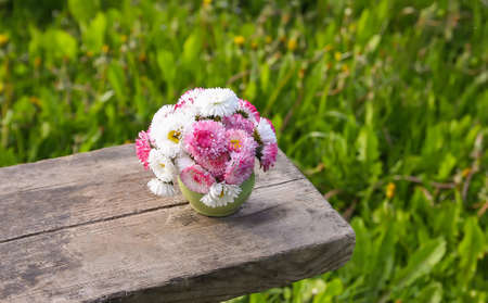Marguerite daisy flowers in ceramic vase on the wooden bench outdoorsの写真素材
