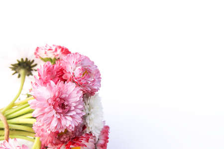 Bouquet of the marguerite daisy flowers on light backgroundの写真素材