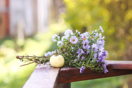 Ripe apple and a bouquet of the Astra Virgin or New Belgian flowers on wooden railing outdoorsの写真素材