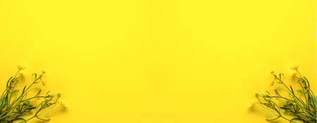 Beautiful bouquet of flowers on bright yellow background. Ranunculus acris plantsの写真素材