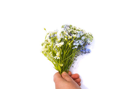 Beautiful bouquet of wildflowers in human hand on white background.の写真素材
