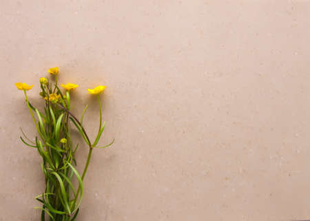 Wildflowers bouquet on paper craft background. Flat lay, top view. Ranunculus acris plants.の写真素材