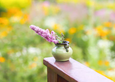 Astilbe plant pink flowers in ceramic vase outdoors.の写真素材