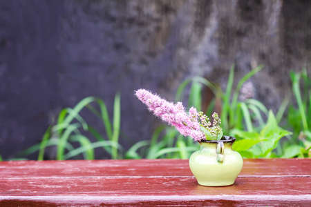 Astilbe plant pink flowers in ceramic vase outdoors.