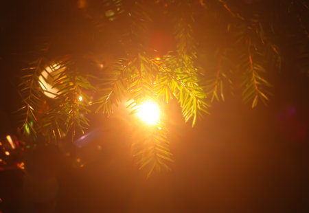 Light flare on decorated Christmas treeの写真素材