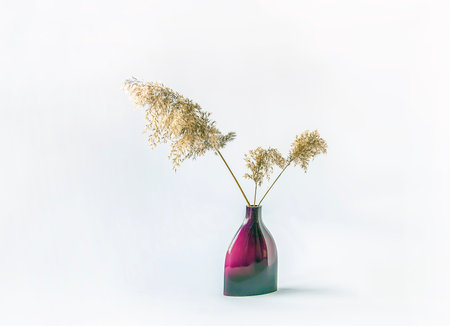 Bouquet of the dry natural reed plants in ceramic vase on white background.の写真素材