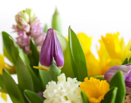 Bright bouquet of spring flowers. Narcisus, hyacinth and tulips close up.