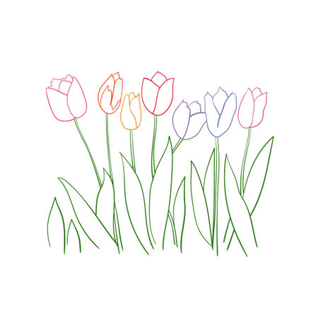 Vector spring card design with colorful tulip flowers.のイラスト素材