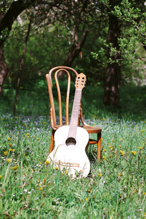 Classical guitar and vienne chair outdoors in spring garden.の写真素材