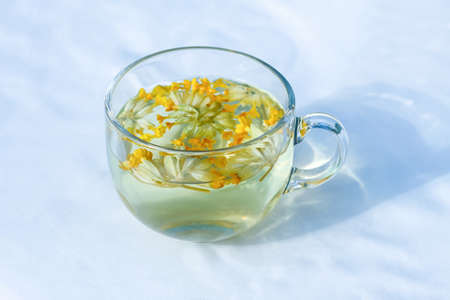 Herbal tea with the Primula veris flowers in transparent glass cup. Common cowslip, petrella, key of heaven, herb peter, paigle, key flower medical herb.の写真素材