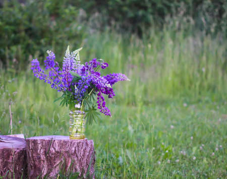 Bouquet of summer flowers on tree stump. Large-leaved or Bigleaf Lupine purple flowers. Lupinus polyphyllus plants.の写真素材