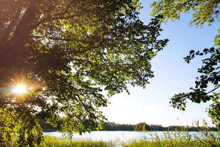 Sunny summer landscape in countryside. Wild lake.の写真素材