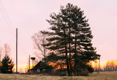 Bright sunset or sunrise in the countryside. Rural buildings.の写真素材