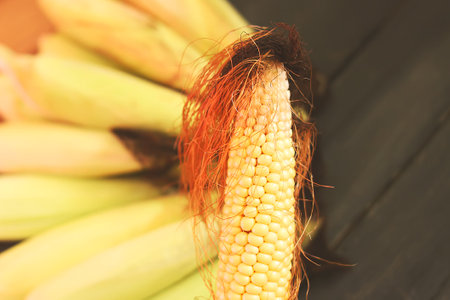 Corn. Healthy raw food close upの写真素材