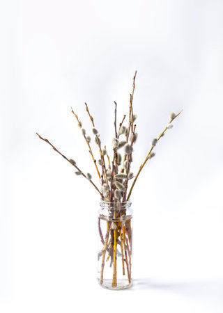 Willow herbs in a vase.の写真素材