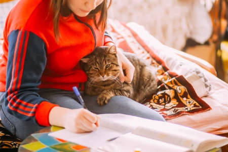 Lazy domestic cat woth teenage girl at home.の写真素材