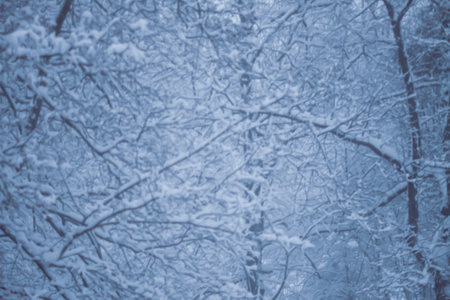 Blurred winter nature background.