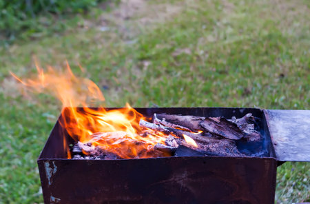 Flame of fire burning in the brazierの写真素材