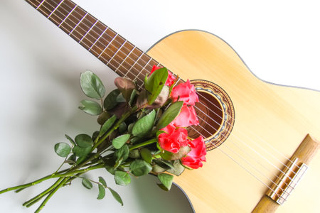 Classic guitar and red roses on white background.の写真素材