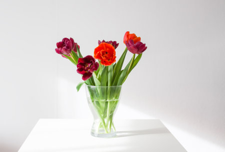 Bouquet of tulip flowers in transparent vase. Beautiful spring plants in flowering season....