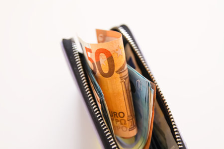 Euro money in the purple leather wallet. Banknotes close up.