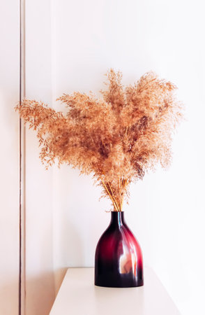 Grass pampas grass in a purple ceramic vase. Dried reeds on a white background. Home decor in the modern minimalist style interior.の写真素材