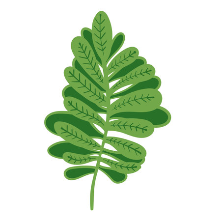 Green plant leaf. Vector illustration.のイラスト素材
