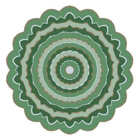 Decorative mandala circular pattern. Elegant round ornament. Vector illustration.のイラスト素材