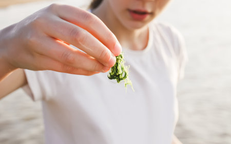 Green moss and water plants in a child's hand on sea backgroundの写真素材