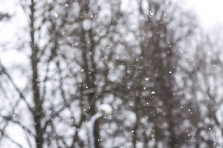 Blurred defocused background. Natural background in winter season.の写真素材