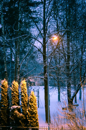 Night in the alley of urban park. Lantern on snow-covered trees background.の写真素材