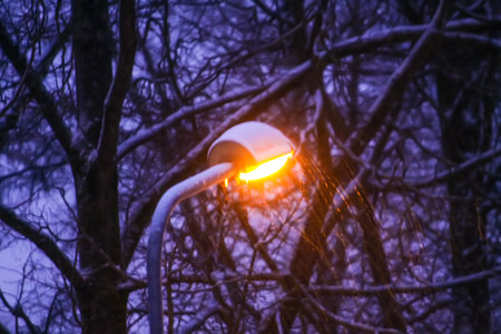 Night in the alley of urban park. Lantern on snow-covered trees background.の写真素材