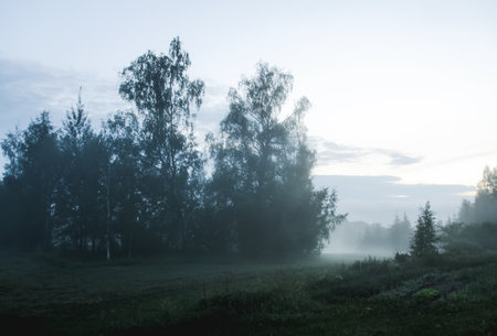 Foggy landscape in the countryside. Summer evening in Latvia.の写真素材