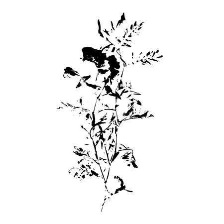 Plant imprint. Black silhouette of herbal element on white background. Vector botanical detail.のイラスト素材