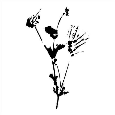 Plant imprint. Black silhouette of herbal element on white background. Vector botanical detail.のイラスト素材