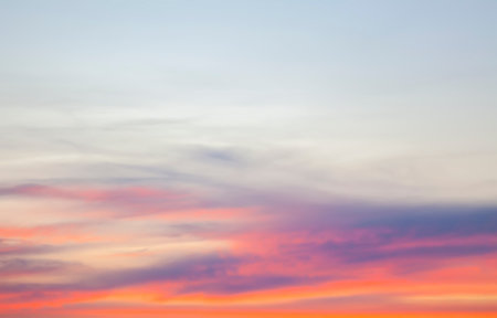 Rural landscape. Field and grass in sunset light. Summertime in village.の写真素材